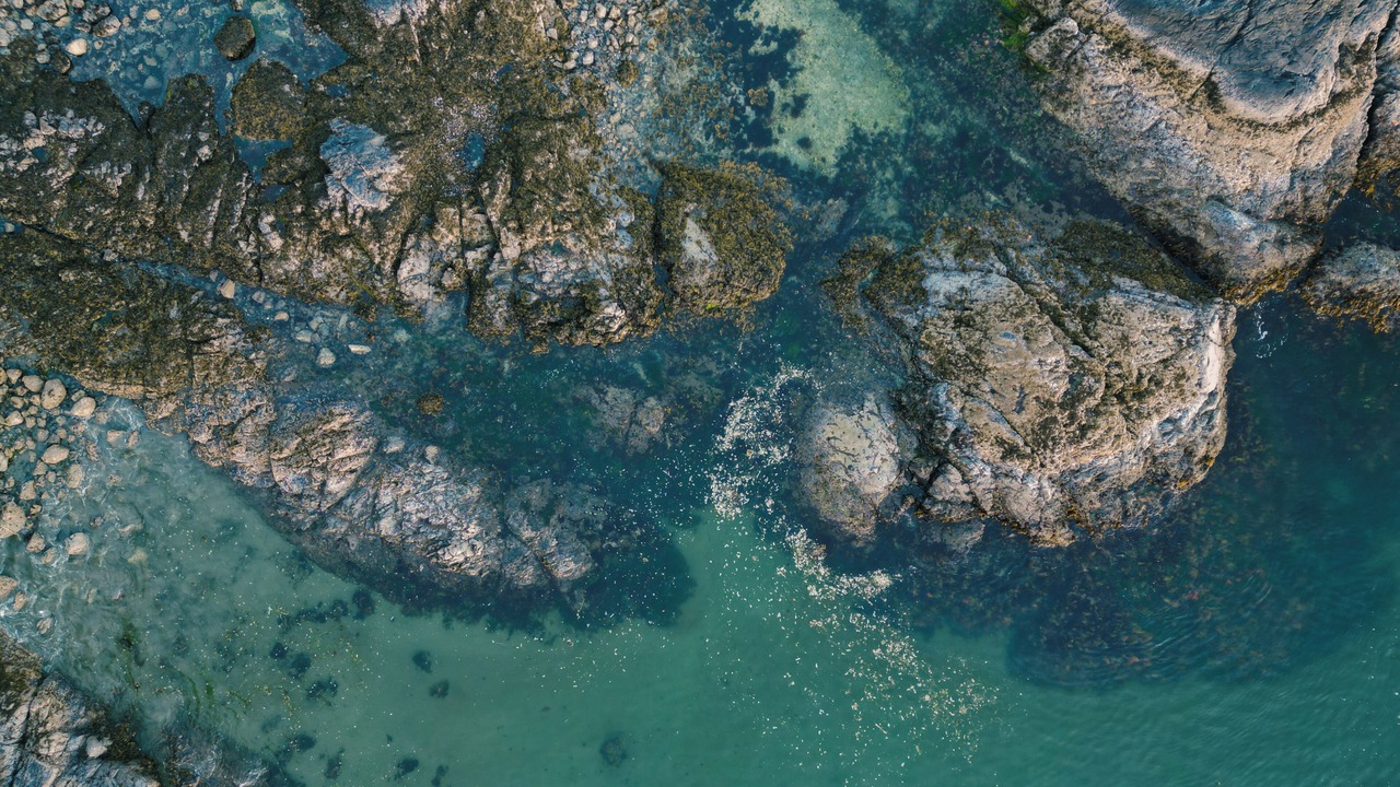 Photo of Outdoor in Tofino