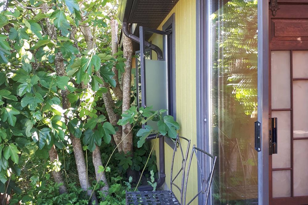 Photo of Others in Courtenay