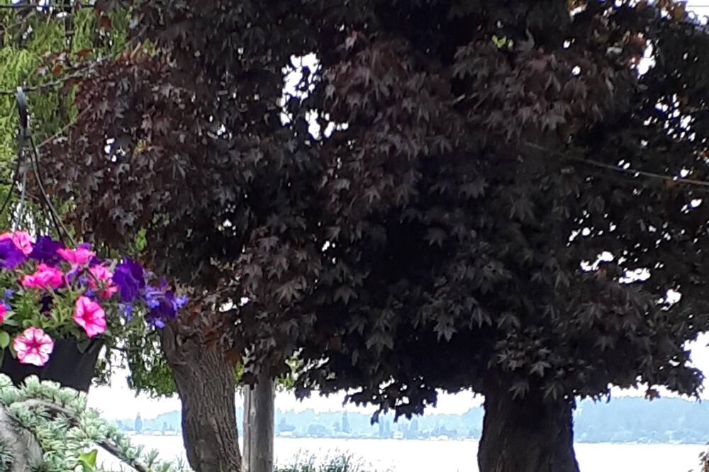 Photo of Outdoor in Courtenay