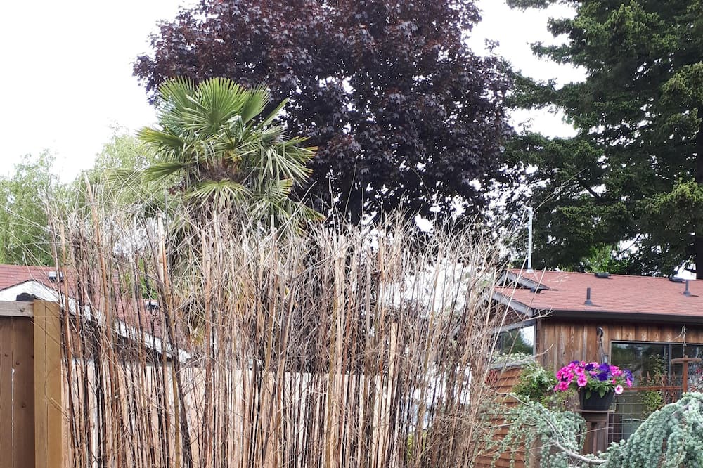 Photo of Outdoor in Courtenay