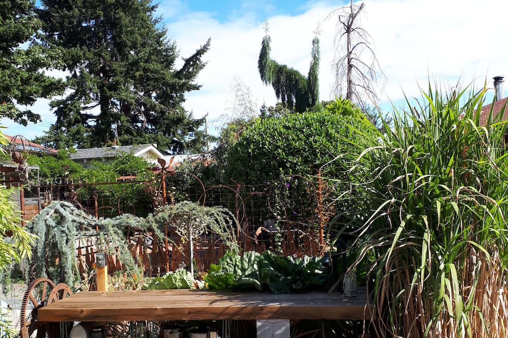 Photo of Outdoor in Courtenay