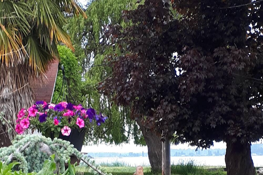 Photo of Others in Courtenay