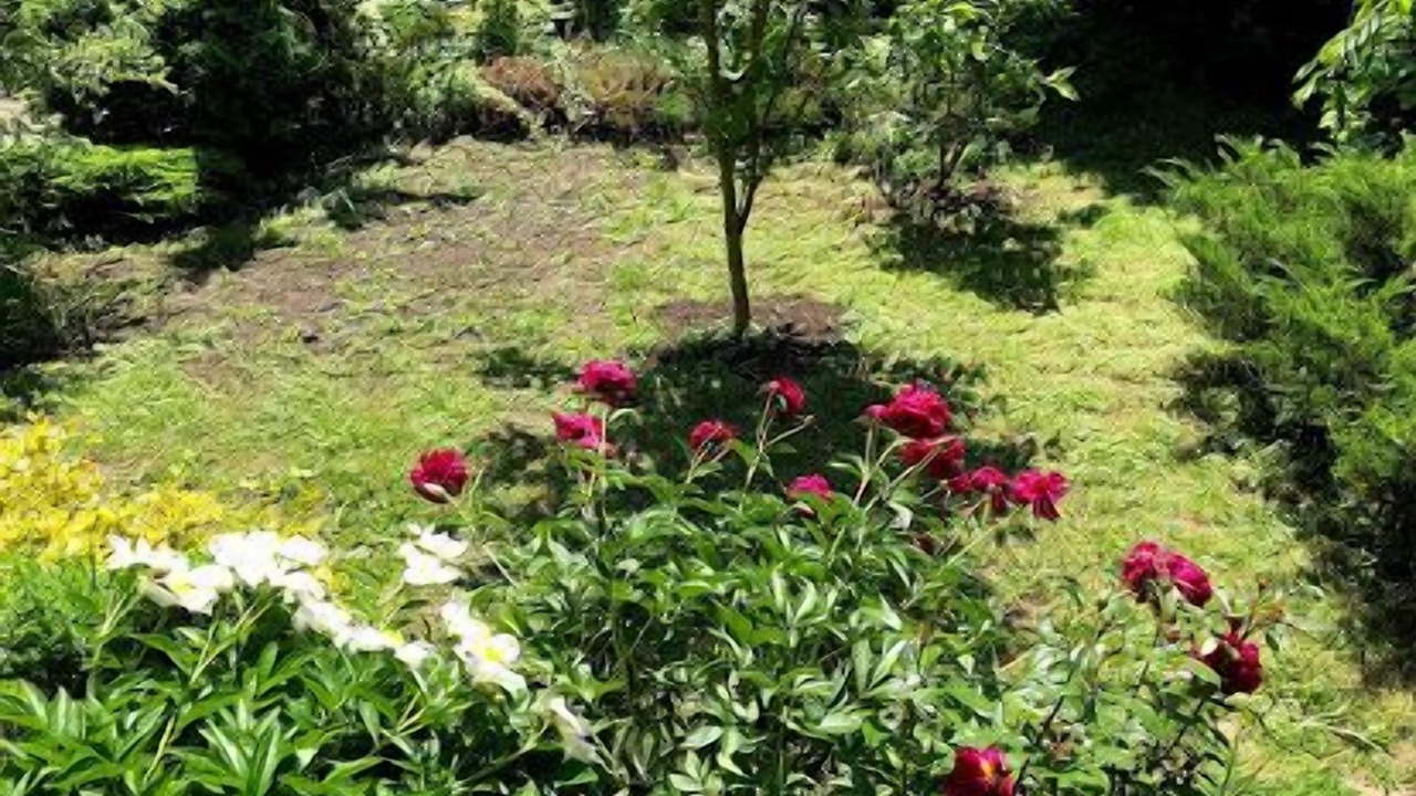Photo of Outdoor in Roxbury