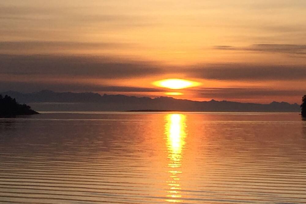 Photo of Others in Departure Bay