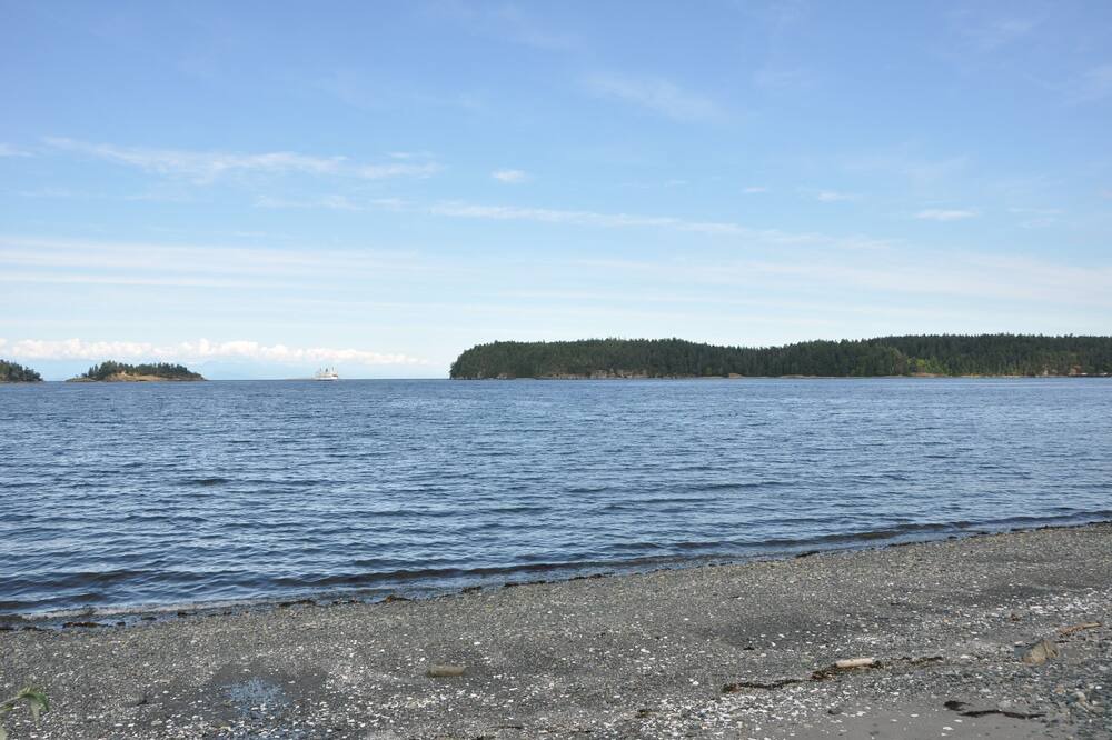 Photo of Others in Departure Bay