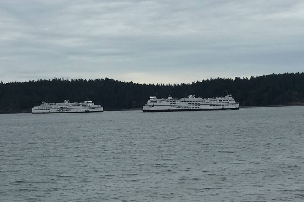 Photo of Others in Departure Bay