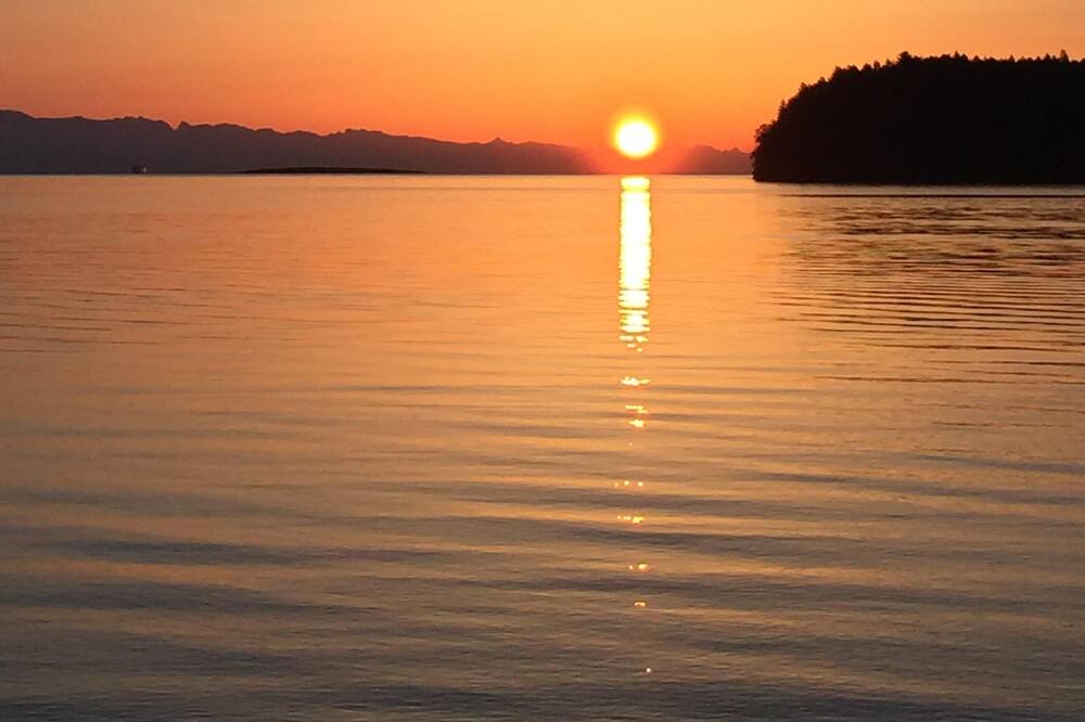 Photo of Others in Departure Bay