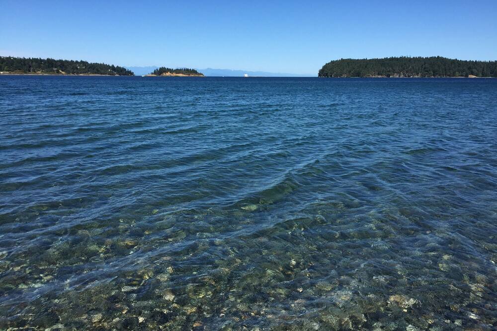 Photo of Others in Departure Bay