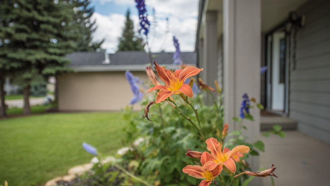 Photo of Outdoor in Willow Park