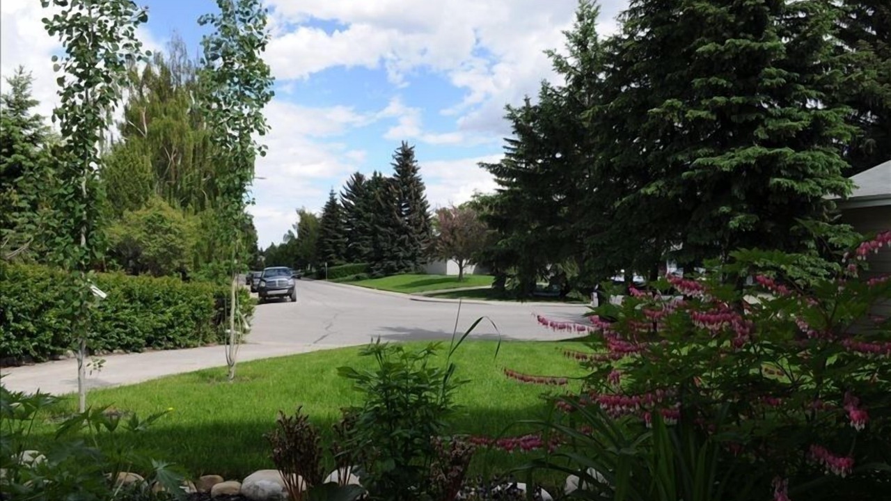 Photo of Outdoor in Willow Park