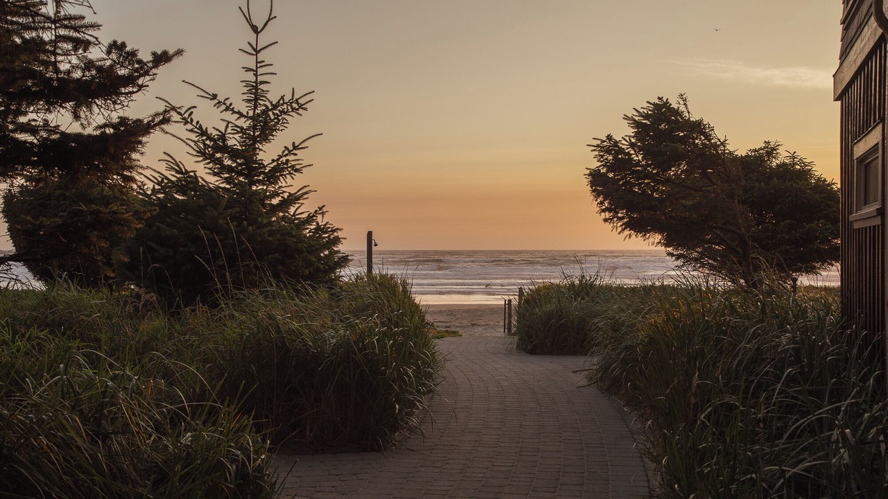 Photo of Outdoor in Tofino