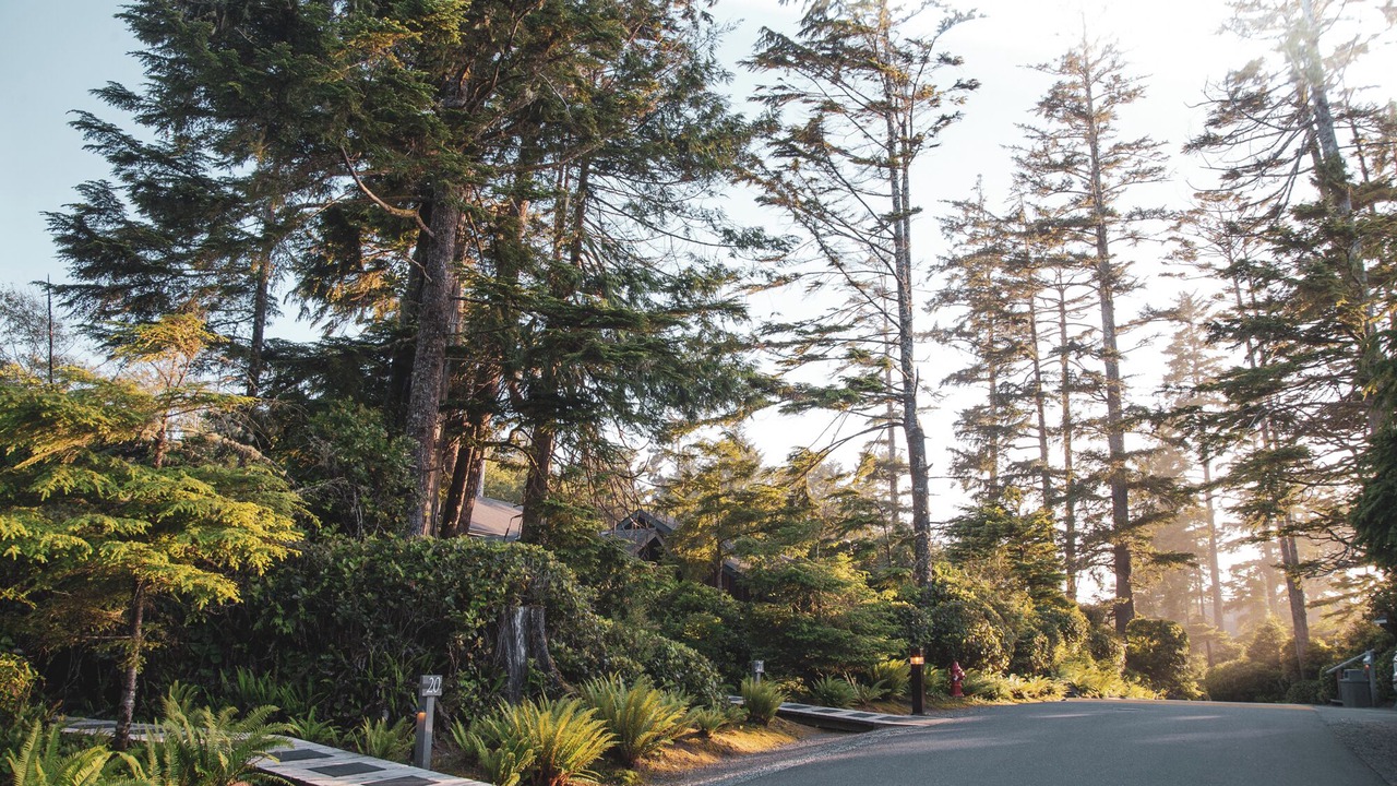 Photo of Outdoor in Tofino
