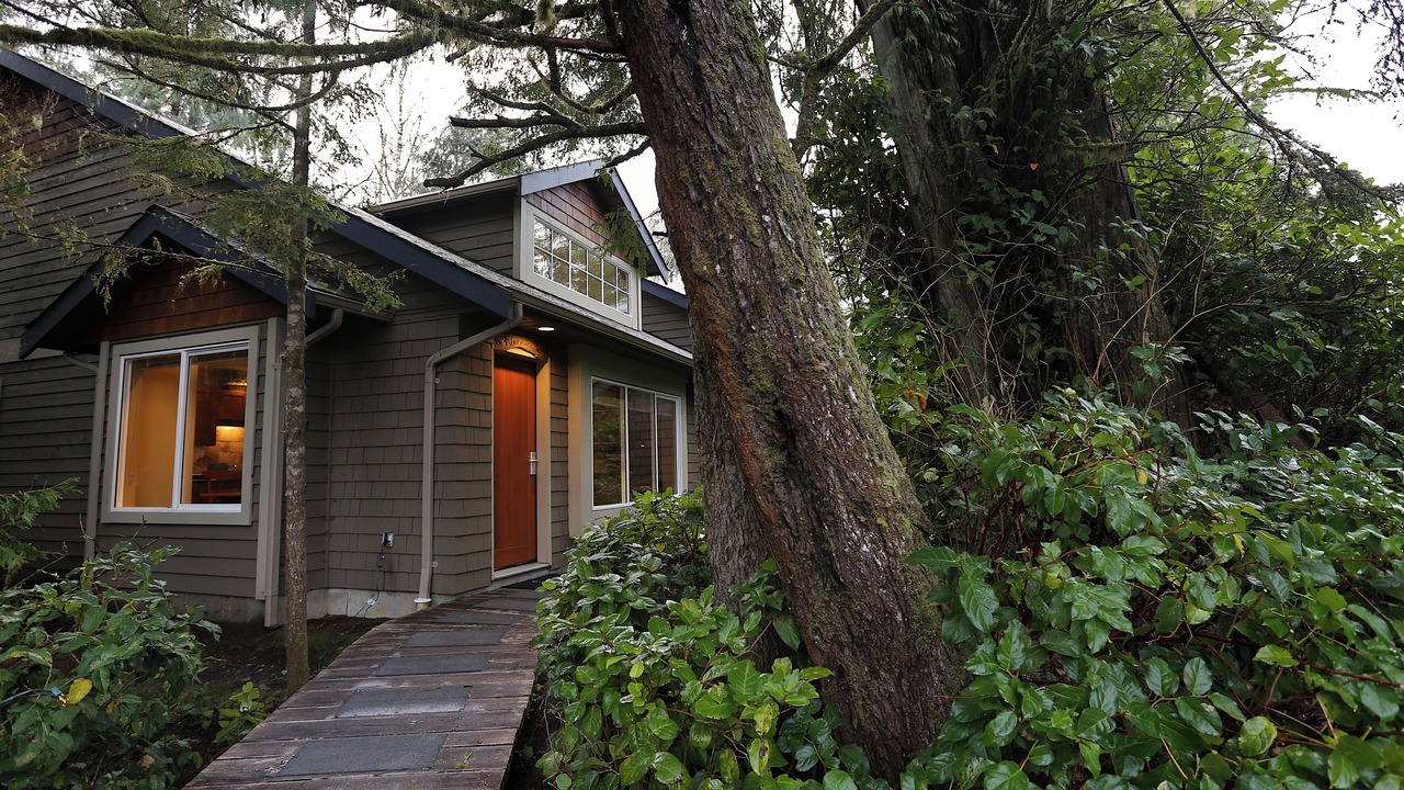 Photo of Outdoor in Tofino