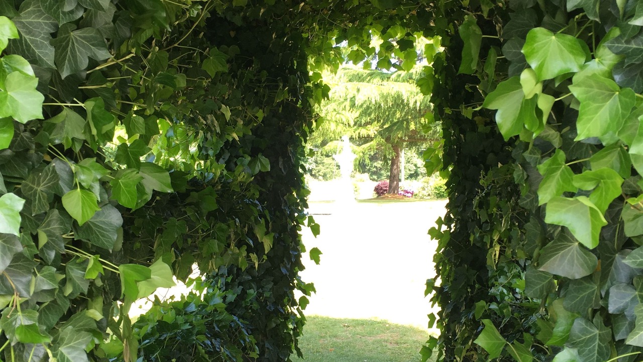Photo of Outdoor in Chemainus