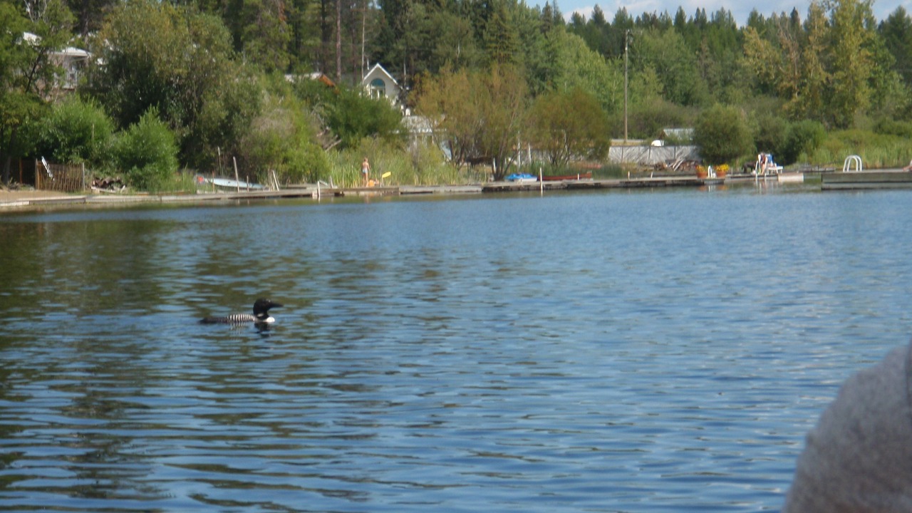 Photo of Others in East Kootenay