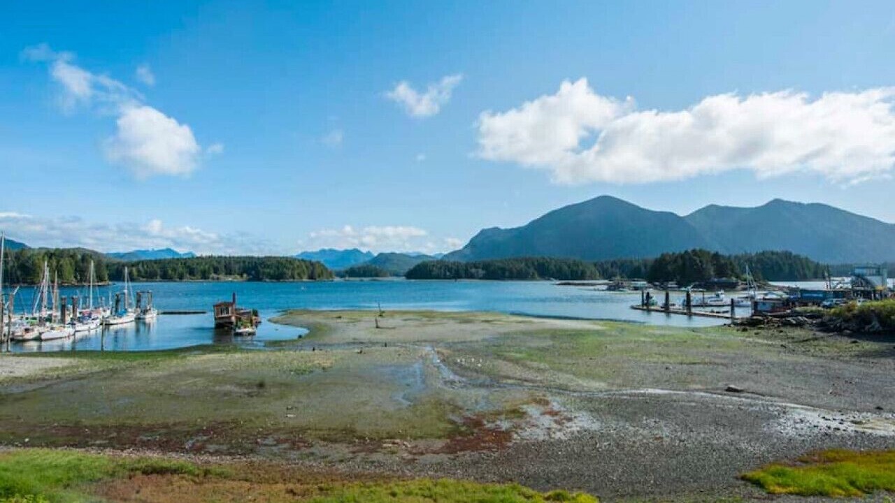 Photo of Others in Tofino