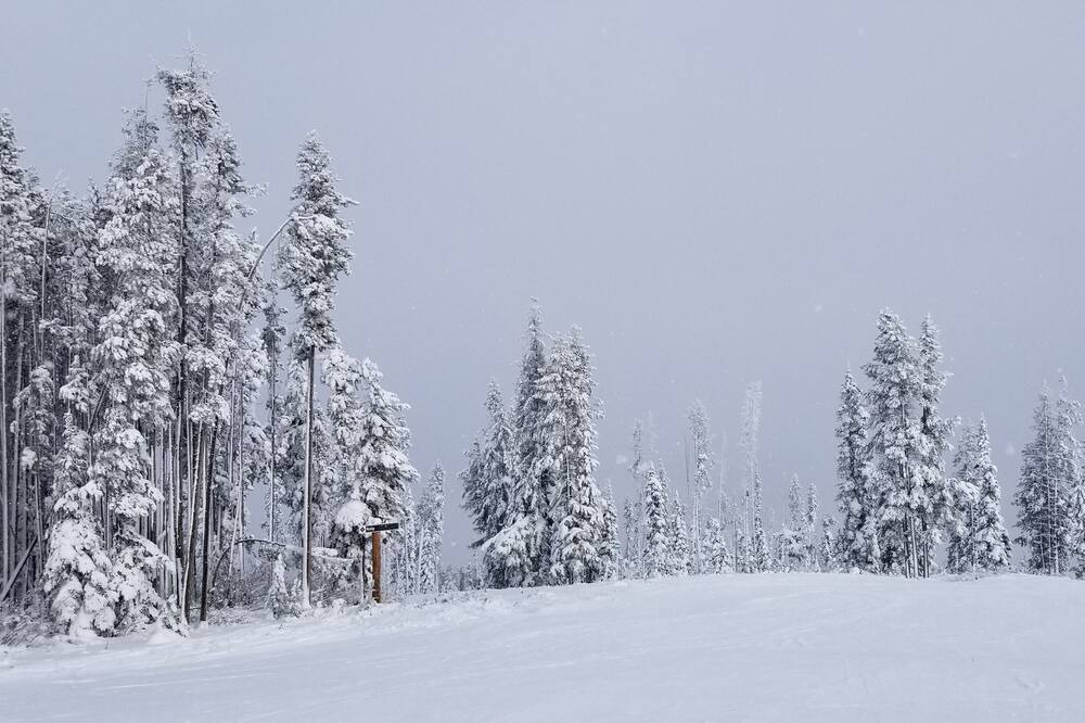 Photo of Others in East Kootenay