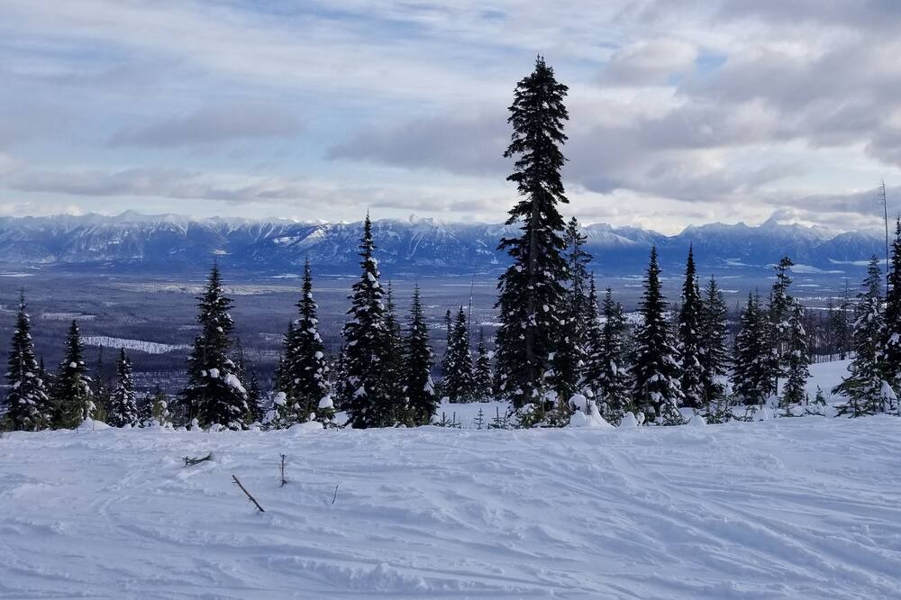 Photo of Others in East Kootenay