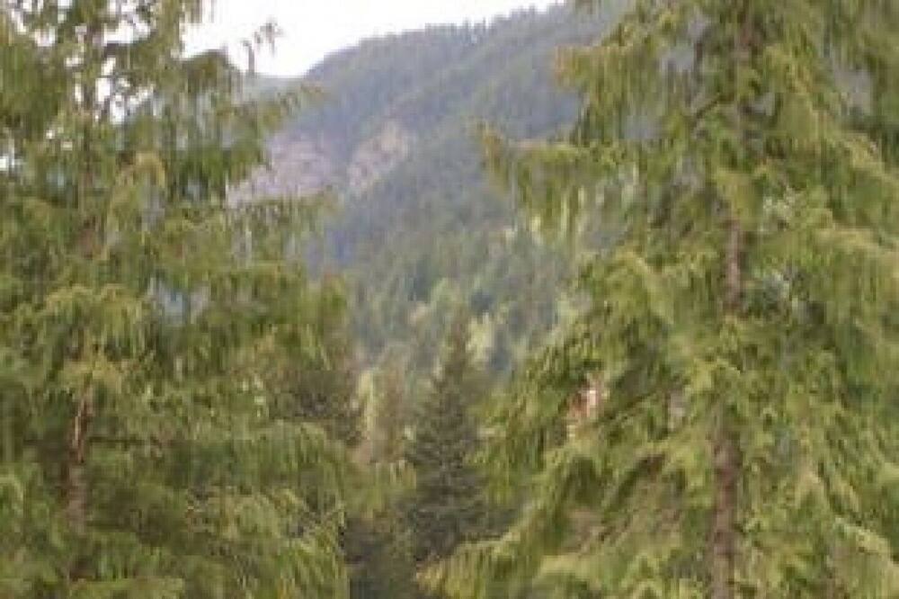 Photo of Outdoor in Sicamous