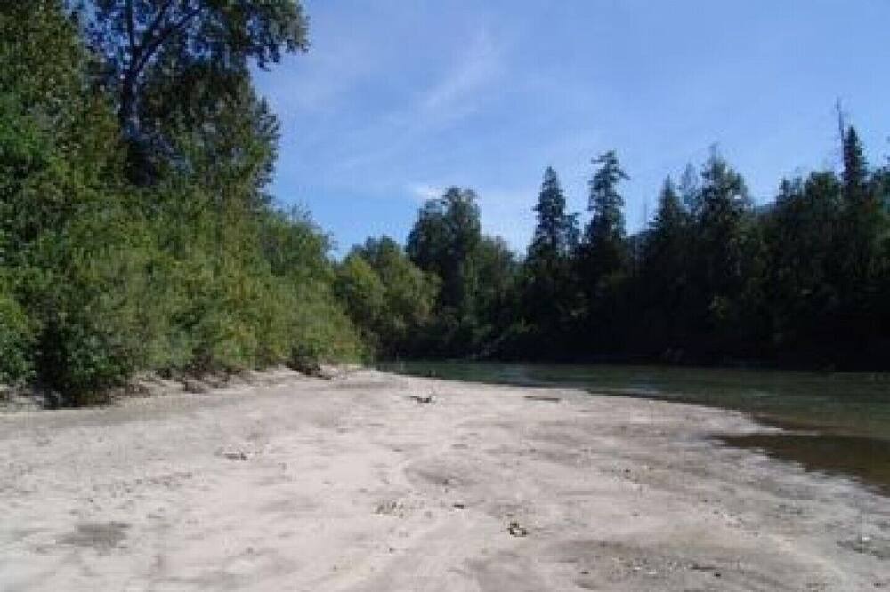 Photo of Others in Sicamous