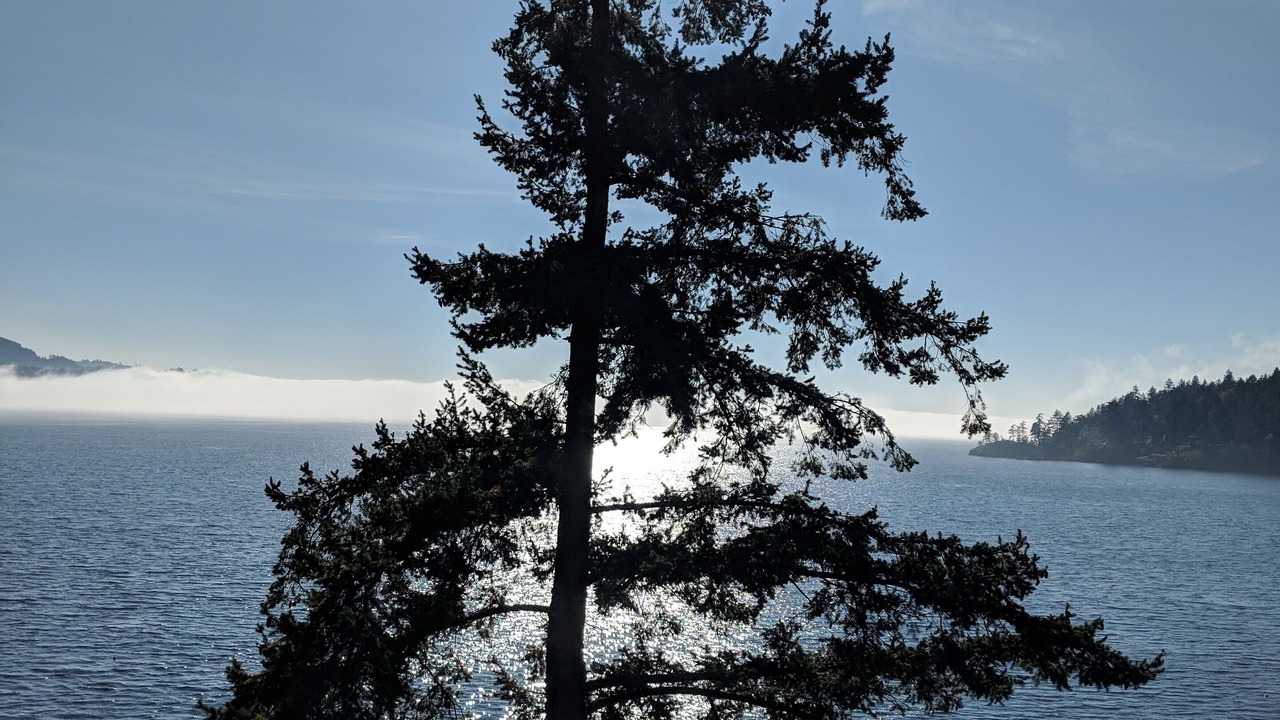 Photo of Others in Bowen Island