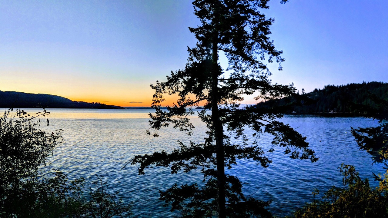 Photo of Others in Bowen Island