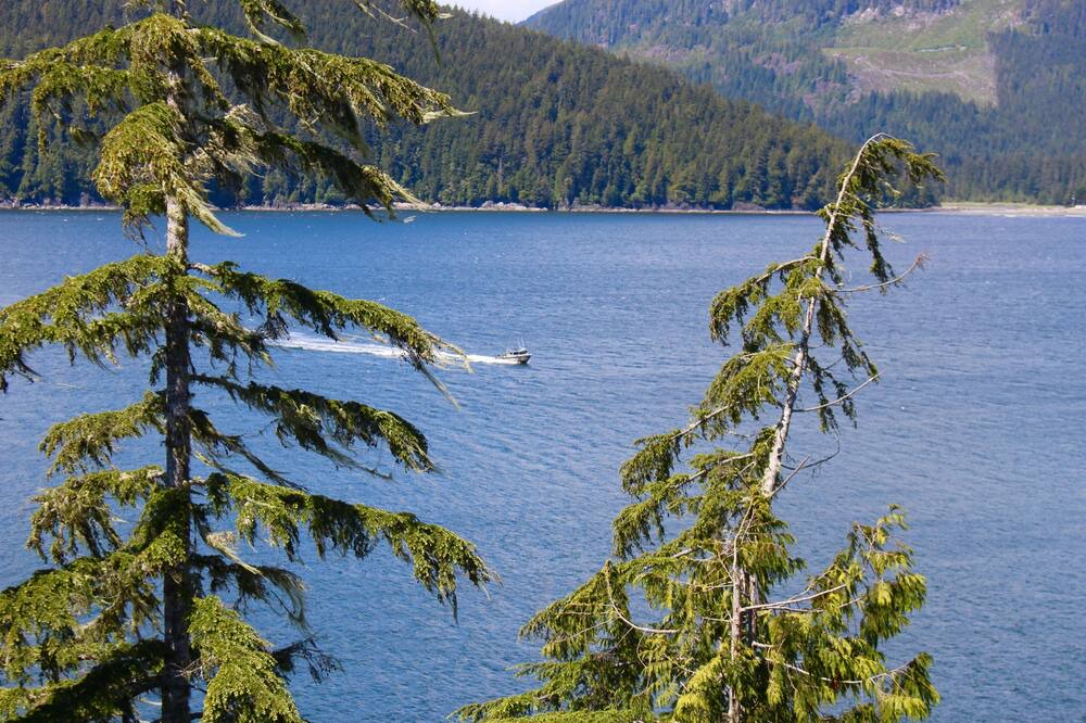 Photo of Others in Port Renfrew