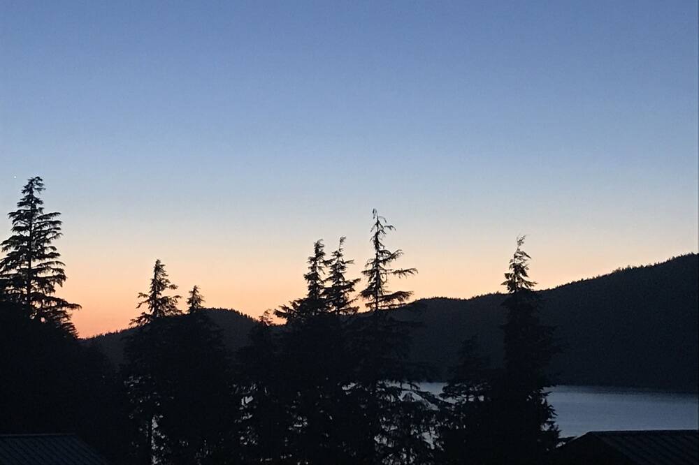 Photo of Others in Port Renfrew