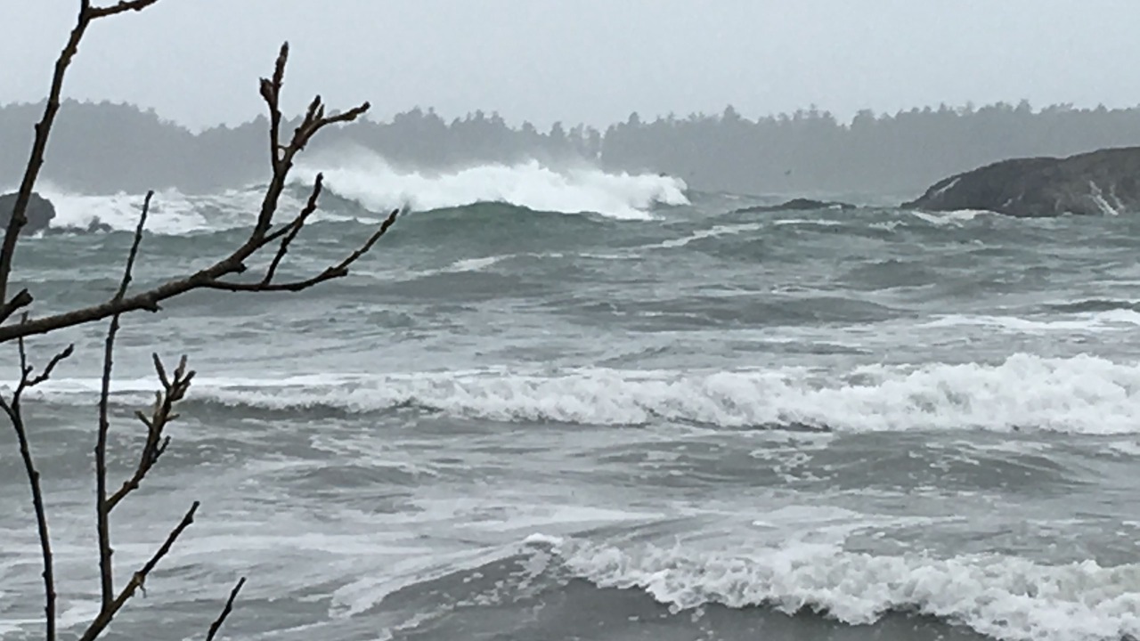 Photo of Others in Tofino