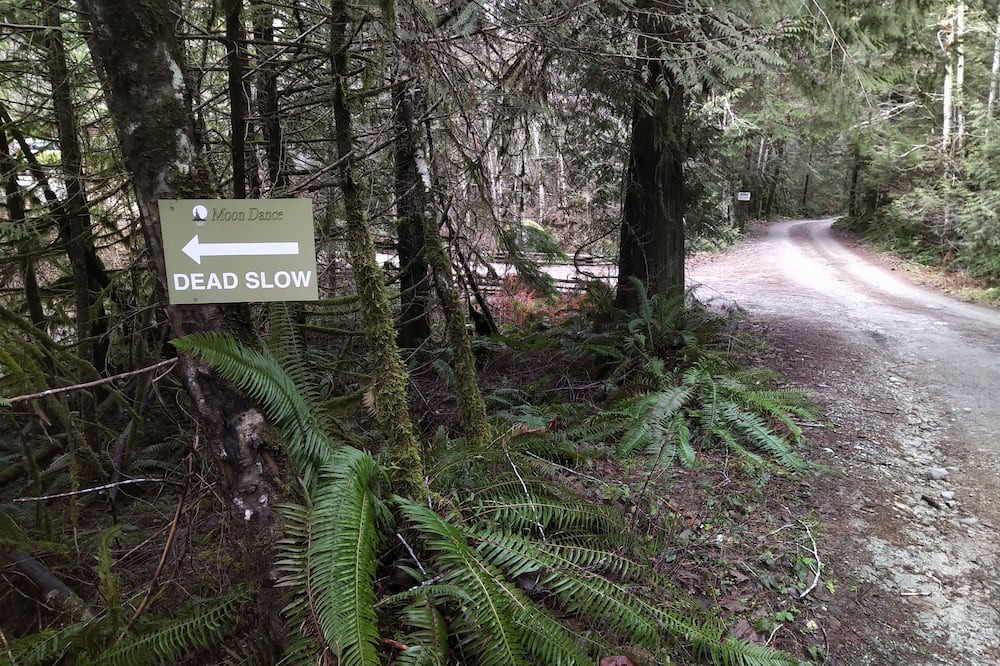 Photo of Outdoor in Madeira Park