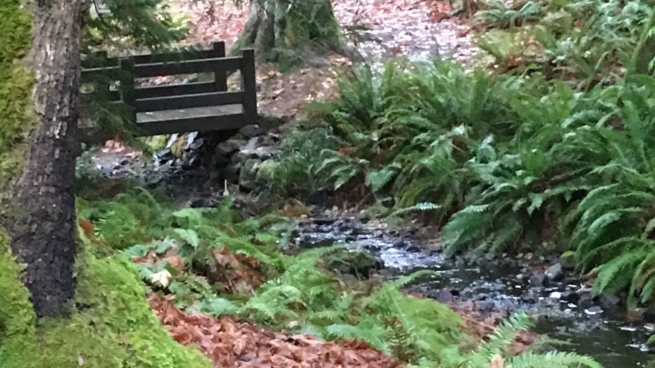 Photo of Outdoor in Victoria