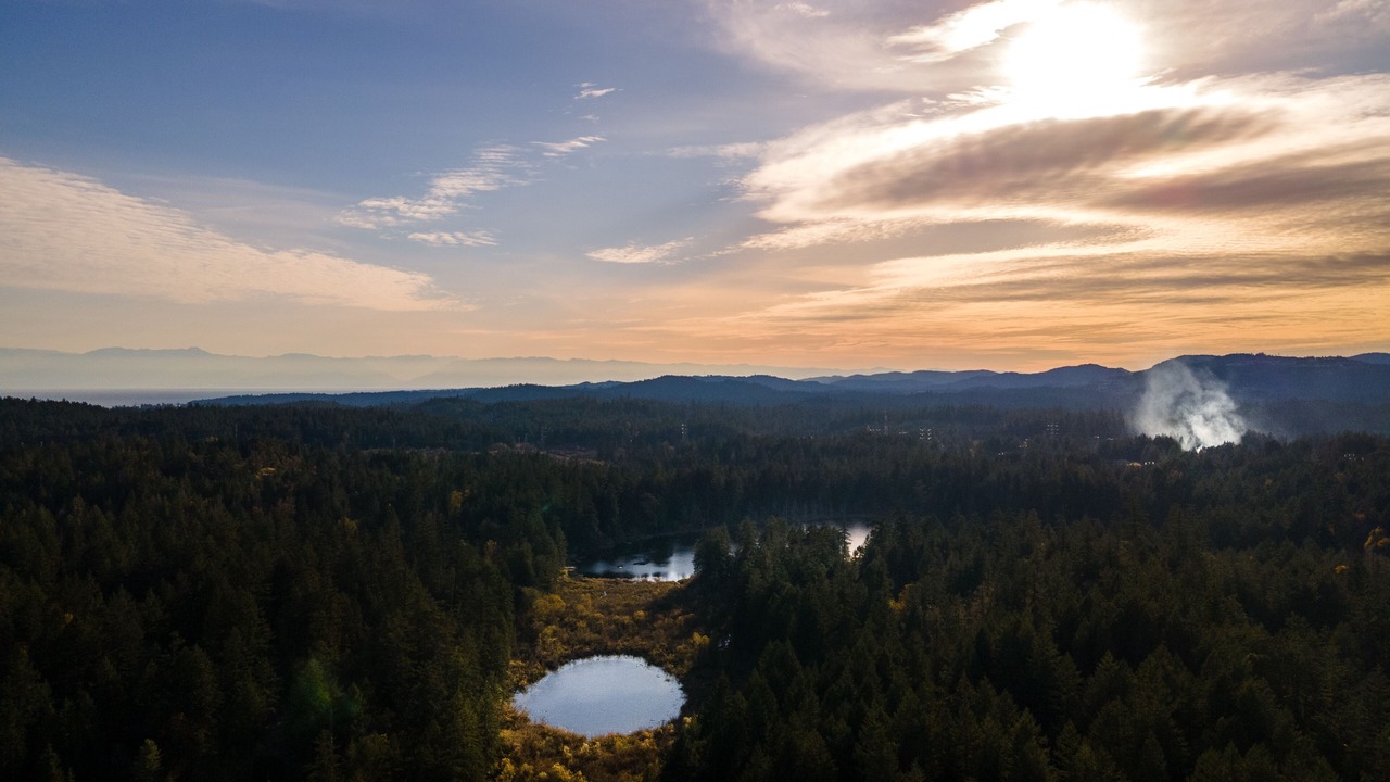 Photo of Outdoor in Victoria
