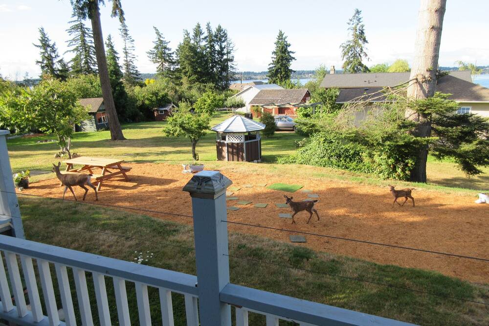 Photo of Others in Courtenay