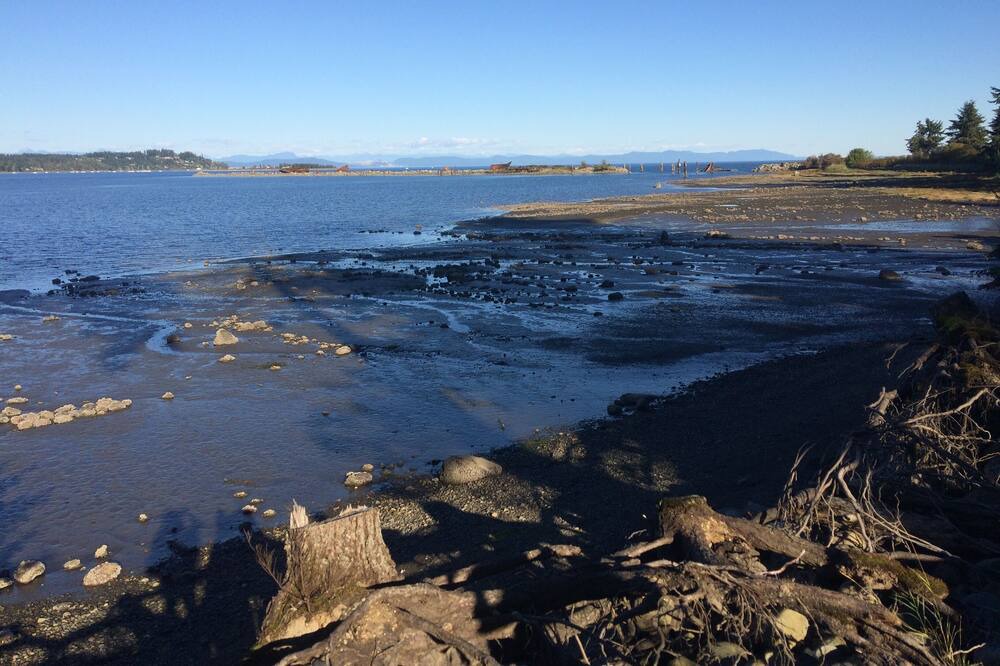 Photo of Others in Courtenay