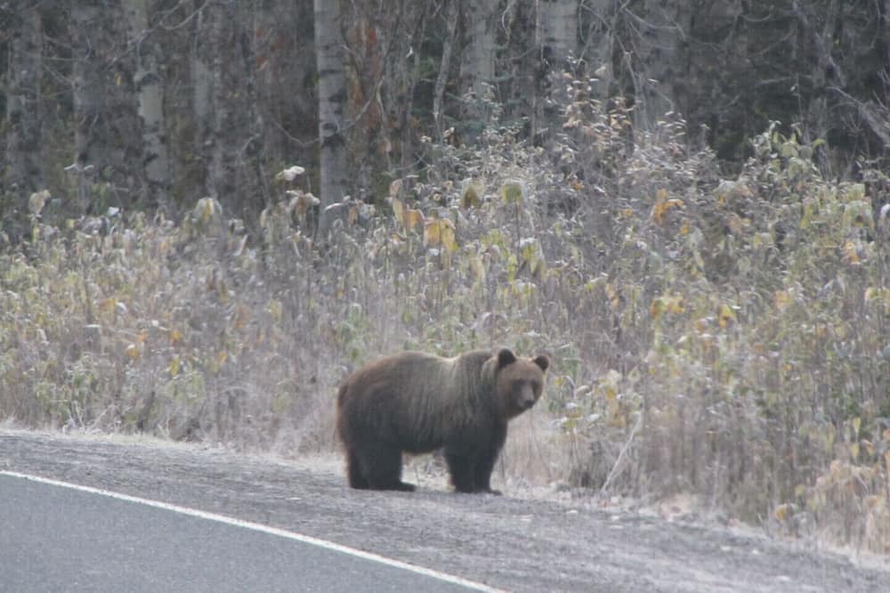 Photo of Outdoor in Stewart