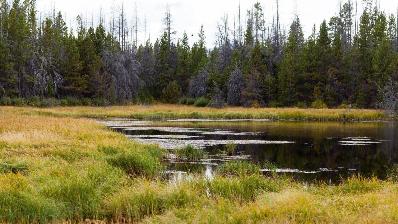 Photo of Outdoor in Anahim Lake