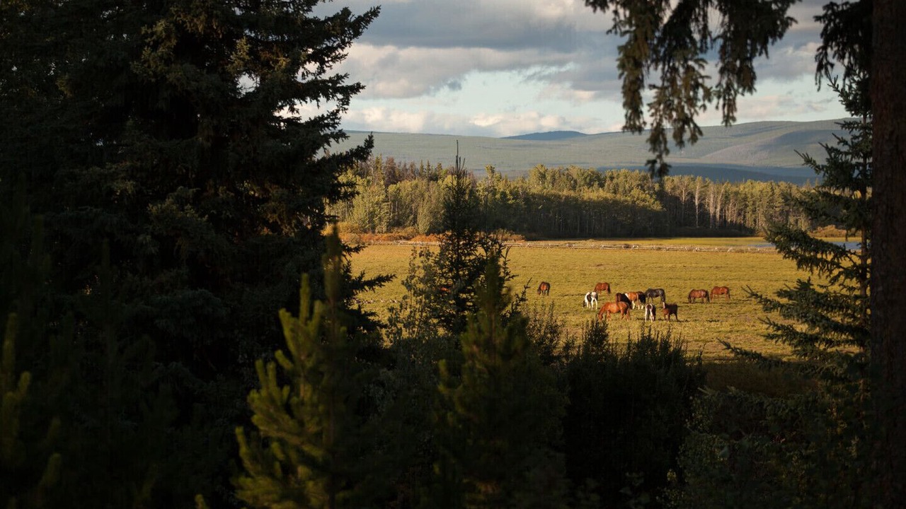 Photo of Outdoor in Anahim Lake