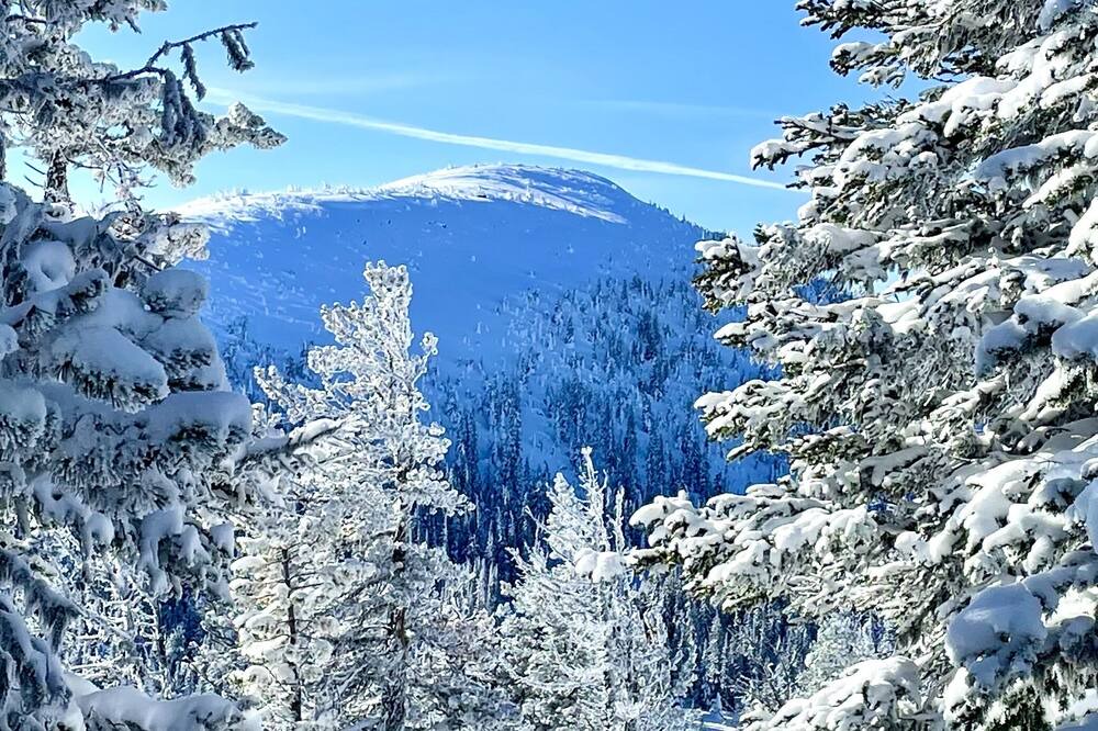 Photo of Others in Apex Mountain