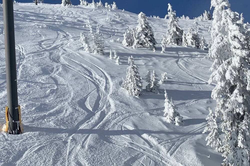 Photo of Others in Apex Mountain