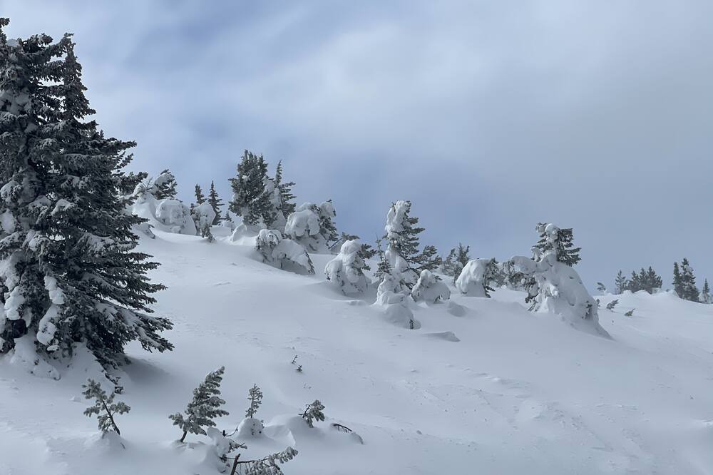 Photo of Others in Apex Mountain