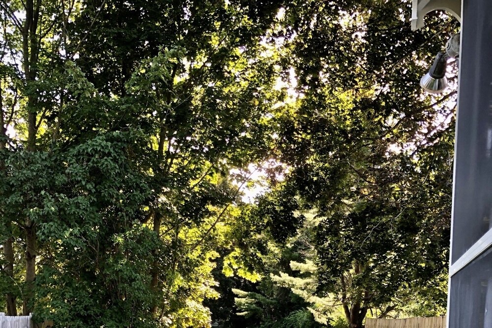 Photo of Others in Peaks Island