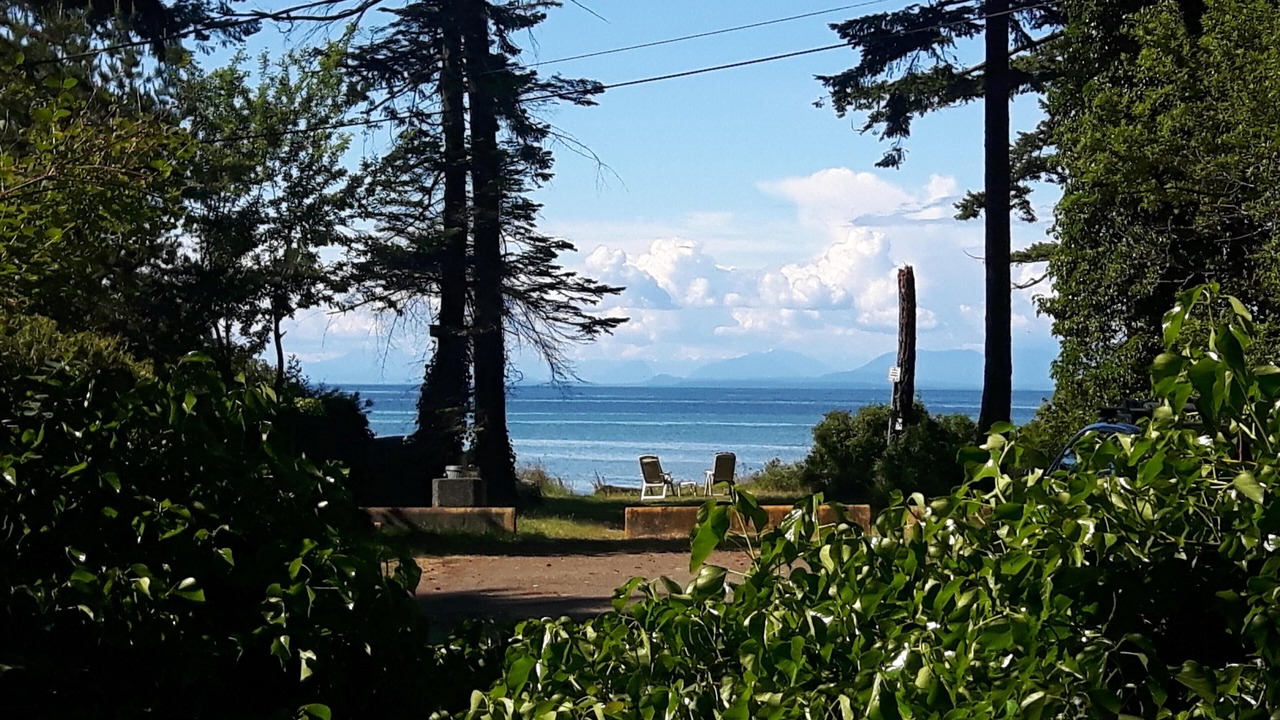 Photo of Outdoor in Comox