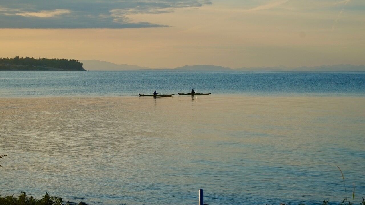 Photo of Others in Comox