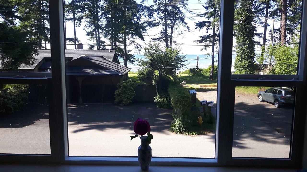 Photo of Outdoor in Comox