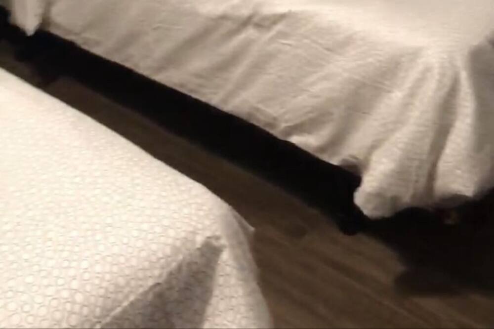 Photo of Bedroom in Sicamous