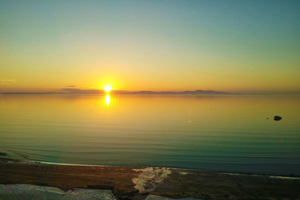 Photo of Others in Cordova Bay