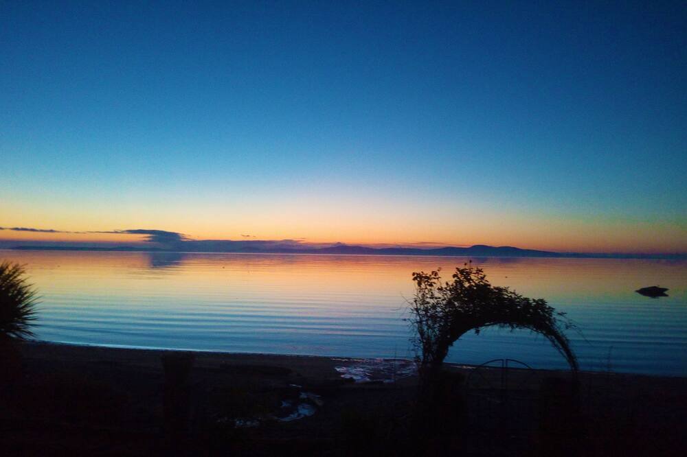 Photo of Others in Cordova Bay