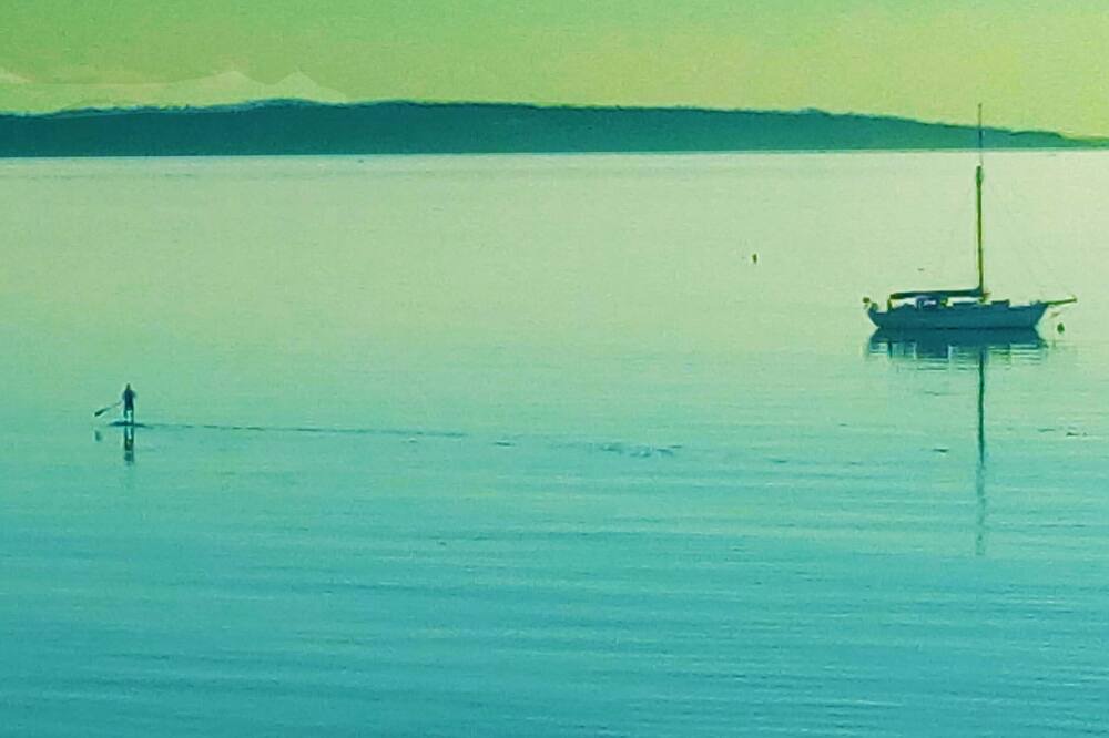 Photo of Others in Cordova Bay