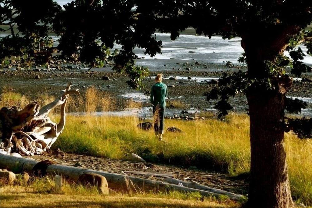 Photo of Outdoor in Courtenay