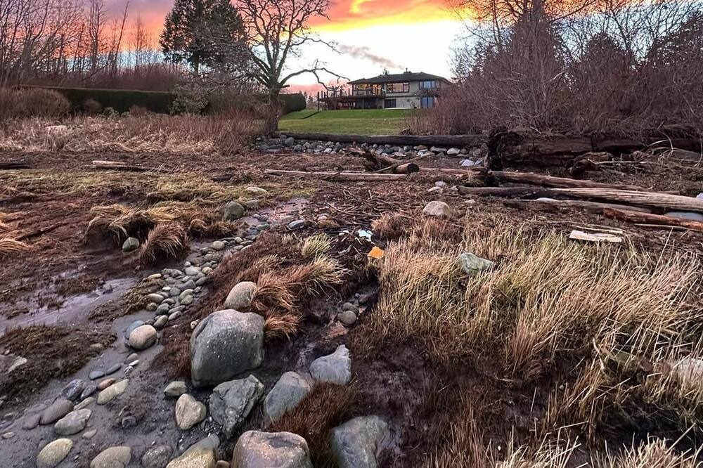 Photo of Outdoor in Courtenay
